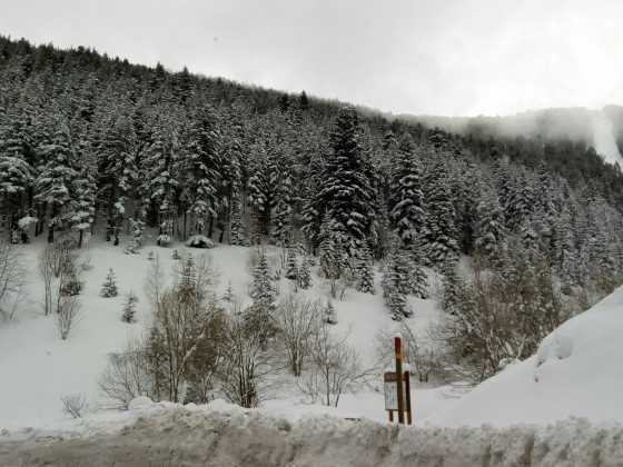 Up to 220cm of snow in Arinsal