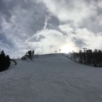 Powder snow quality in Coll de La Botella today