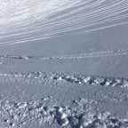 The quality of the snow was powder with up to 155 cm of snow on the slopes
